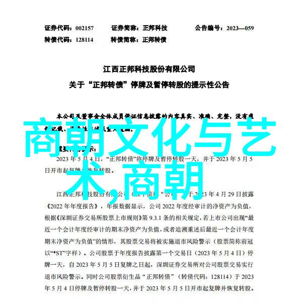 宋朝历史东京南宋北宋王安石变法科举制度