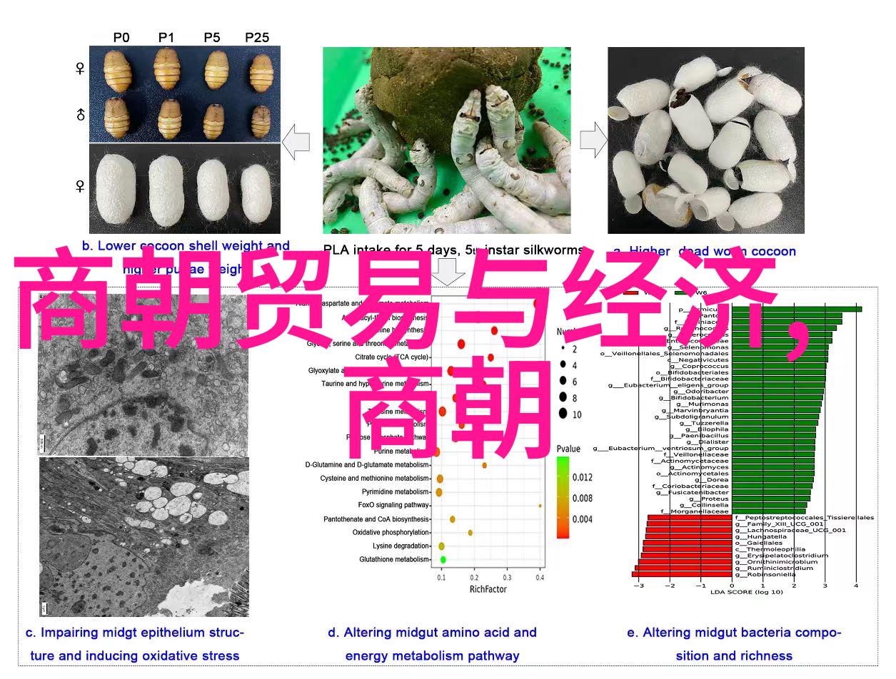 唐朝好男人光与影的交织