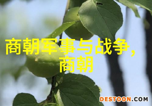 书法艺术的根源与发展轨迹