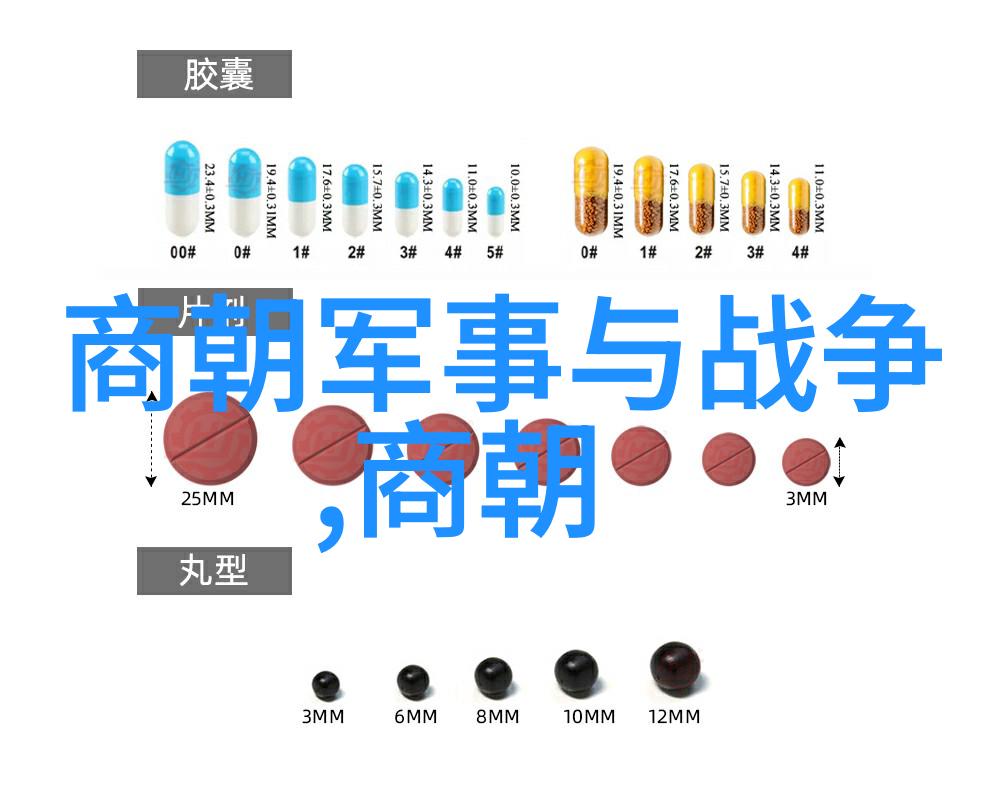 刺史现代管理精英的影子