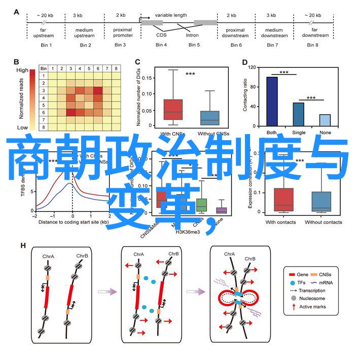 中国学位与研究生教育网推动高等教育现代化的重要平台