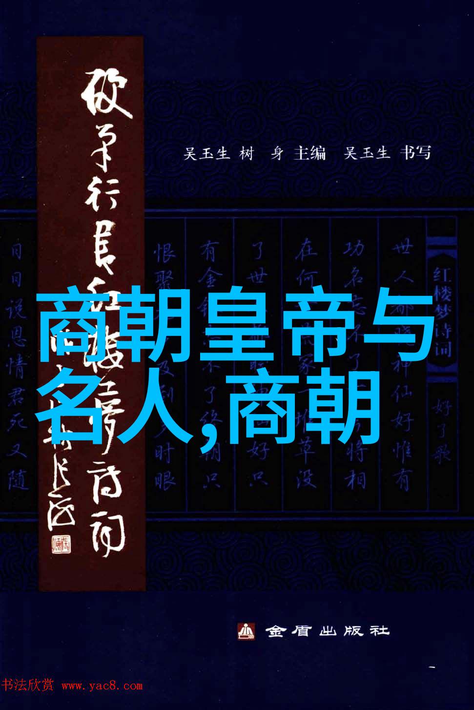 21世纪野史数字帝国的暗夜骑士