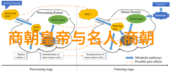 讲历史人物故事大全免费听我也能听到历史人物的故事吗