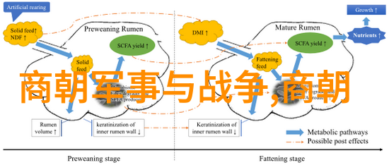 回忆四年级时的历史故事讲述穿越时空的足迹