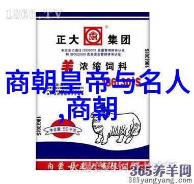 小小记者大型历史案例孩子们揭示了什么秘密