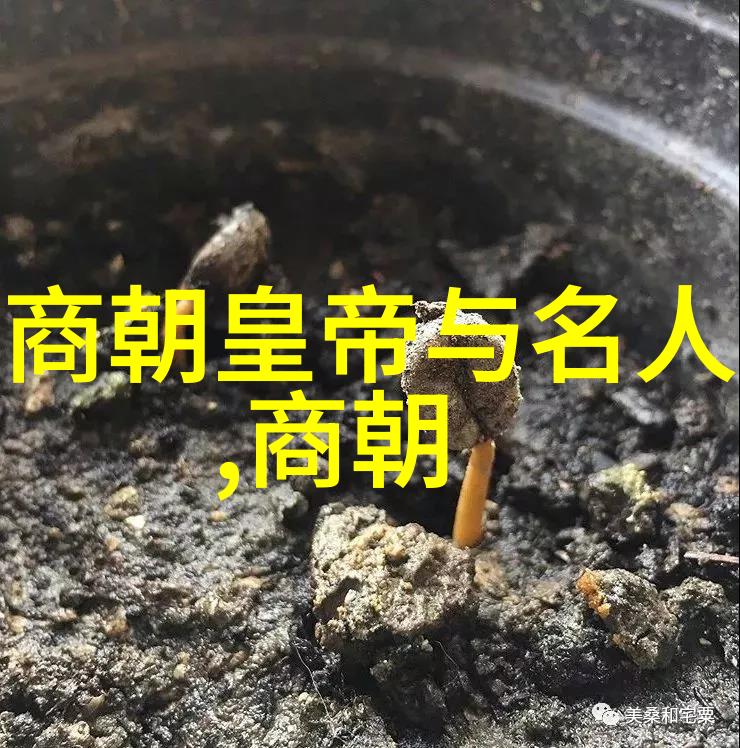 背后的秘密出轨的丈夫与他人的故事