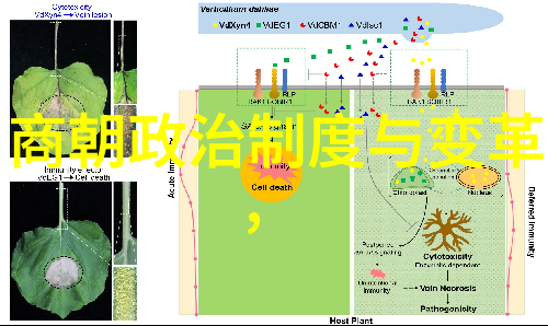 宋朝东京 - 东都风华追溯宋代的政治文化与城市生活