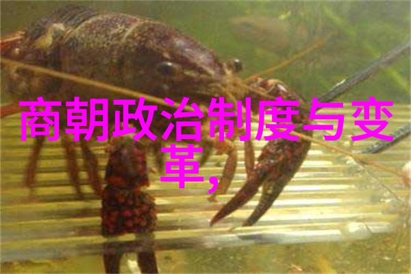 明朝风云录锦衣卫之谜