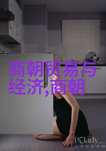 一位独特女性在古代政治舞台上的奋斗史武则天