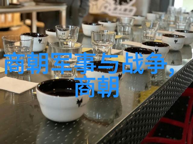 历史探秘揭开时光之幕的应用程序