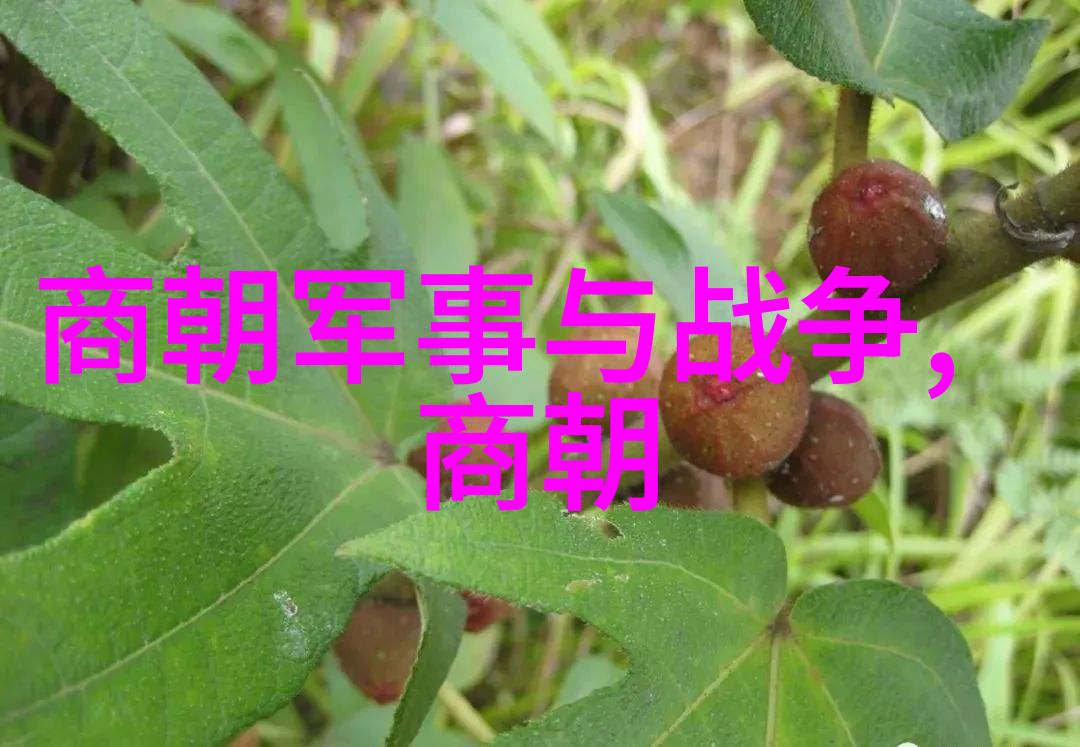 朱祁镇大明战神的背影与光芒