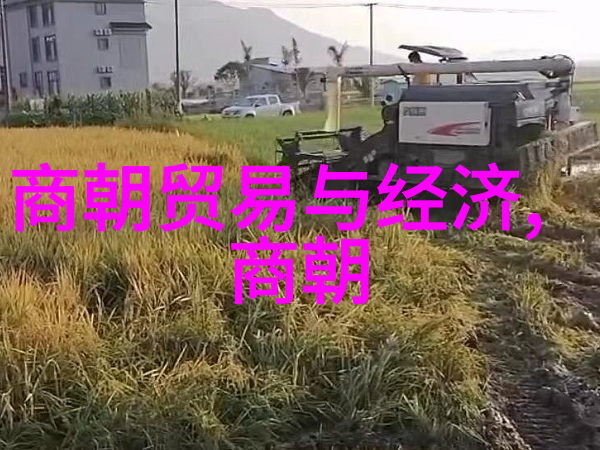 胡宗宪元朝知识点中的奇迹