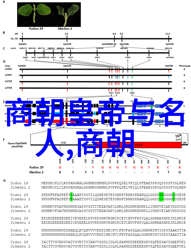 明朝台湾-明代统治下的台湾文化融合与政治对抗