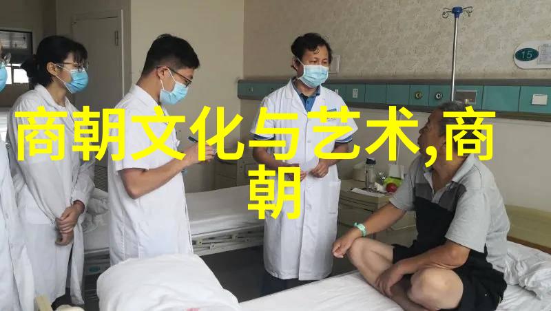 宫廷婚姻政治下的后代继承问题探究