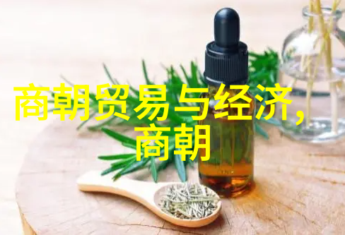 御者之妻守卫荣耀的秘密