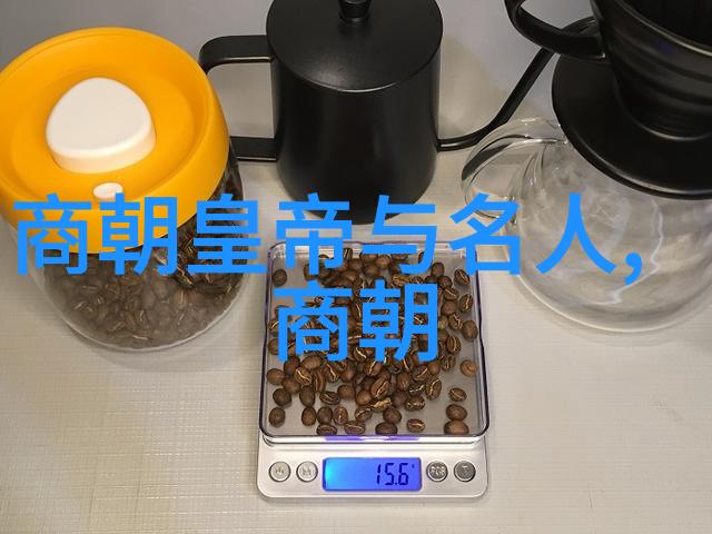 历史的长卷明朝奇遇