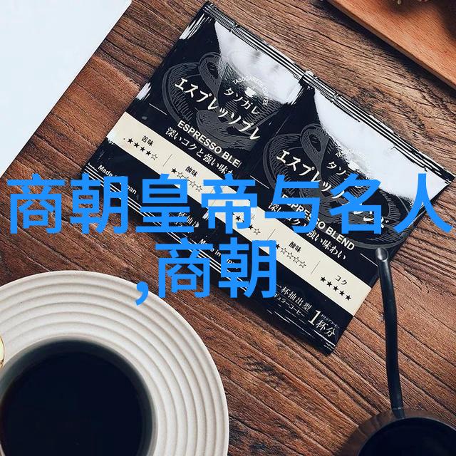 揭秘宋明两朝的历史交汇从辉煌文治到雄阔边疆