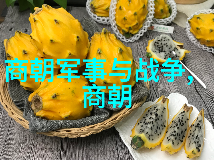 宋代经济发展及其对社会的作用