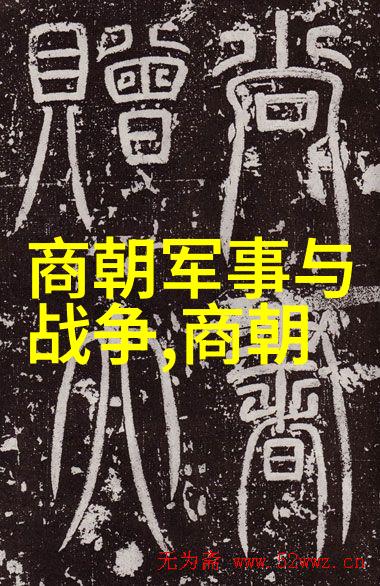 对于当时朝廷内外的人来说他们是如何看待这一决策的