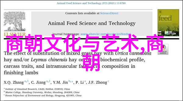 魔法与现实之间如何将中文版聊斋志异改编成英文短篇小说