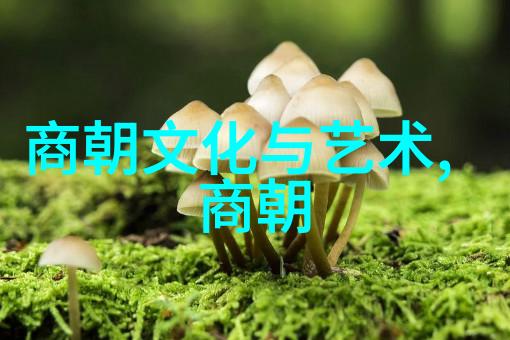 柔情似水如何赢得女生的心让她如同温暖的春日阳光般柔和而深邃