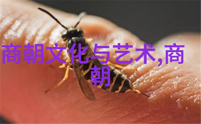 上古战神在现代社会里扮演着怎样的角色