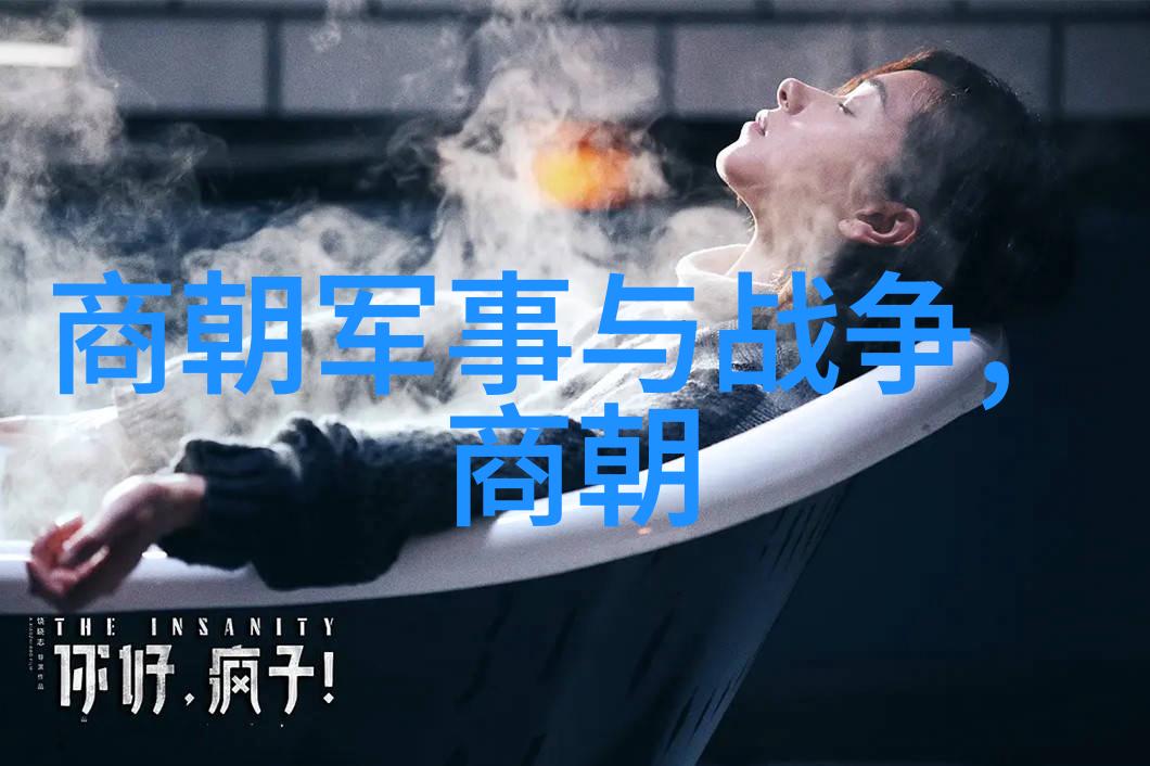 明朝历史小说的丰富世界探索那些事的多样篇章