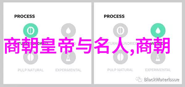 探秘中华历史的长河