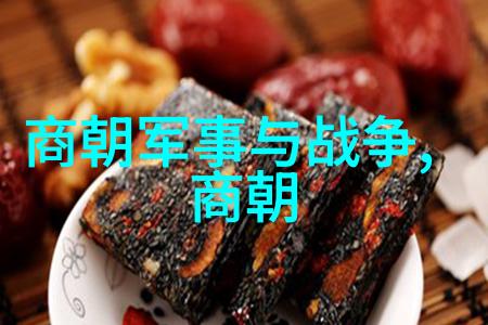 朝代大乱斗从黄帝到清中国历史的笑料盛宴