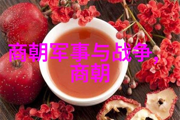 历史巨匠曹操简介