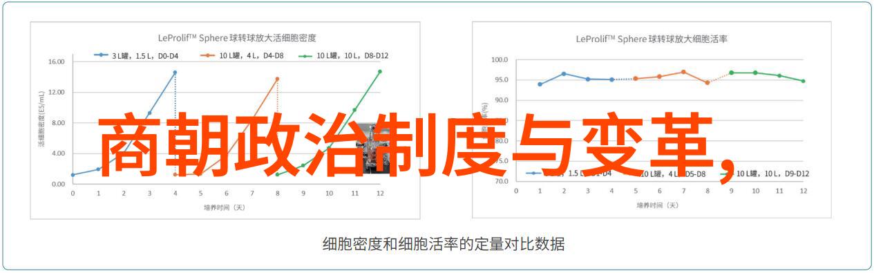 了解文化深度九种艺术的历史演变