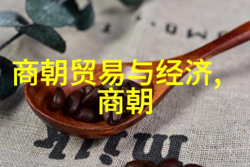 明朝帝王年号盛世朱元璋崛起之路马皇后共赴风云变幻