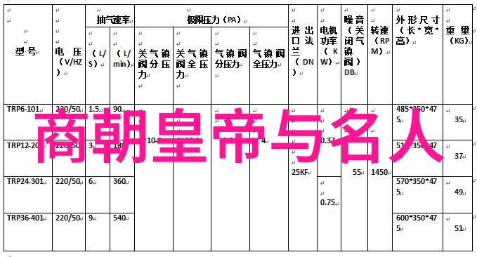 唐朝盛世文化与辉煌文明的见证