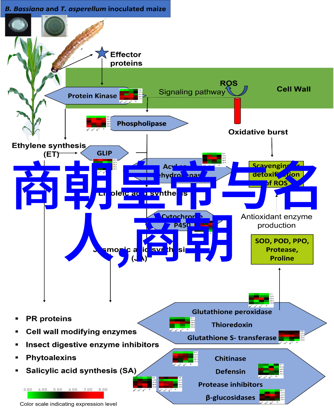 宋代社会变迁的故事背景