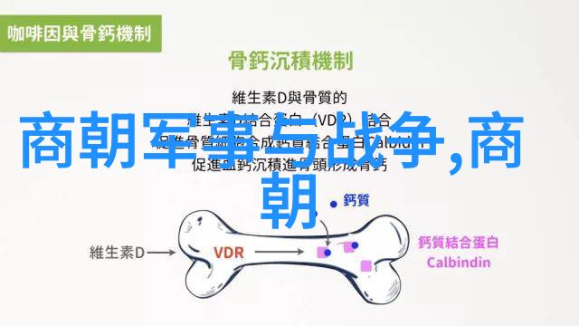 书法四大家都是谁 - 书圣之旅探索王羲之颜真卿柳公权与钟繇的艺术世界