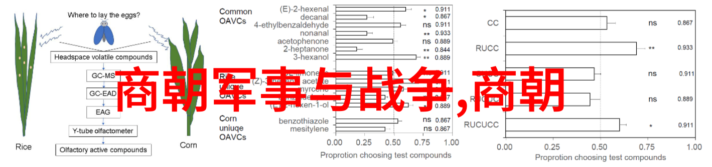 隋文帝隋朝开国皇帝被后人誉为圣人可汗其治世如同春日暖阳温煦而明智其政绩则是历史的奇迹与元代开创辉煌的