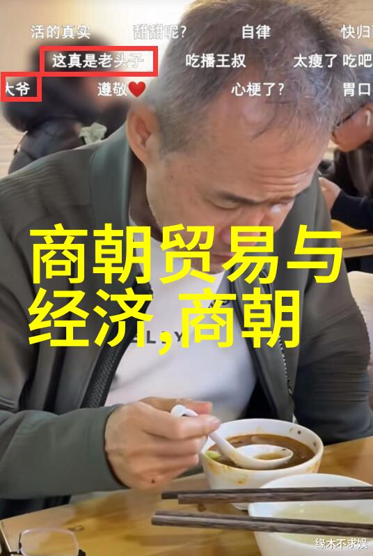 南宋历史简介如何看待南宋时期的政治经济结构