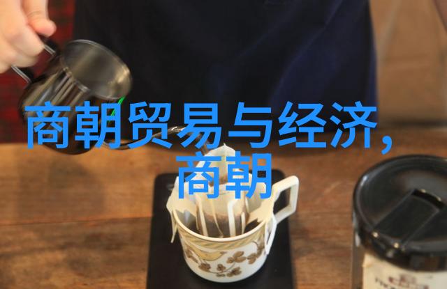 揭秘历史真相纪录片如何重塑我们对过去的理解