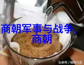 明朝那些事儿的版本差异揭秘7本与9本的秘密