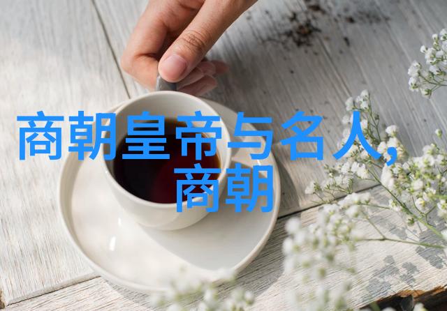 大明我是朱允熞历史小说中的明朝皇帝