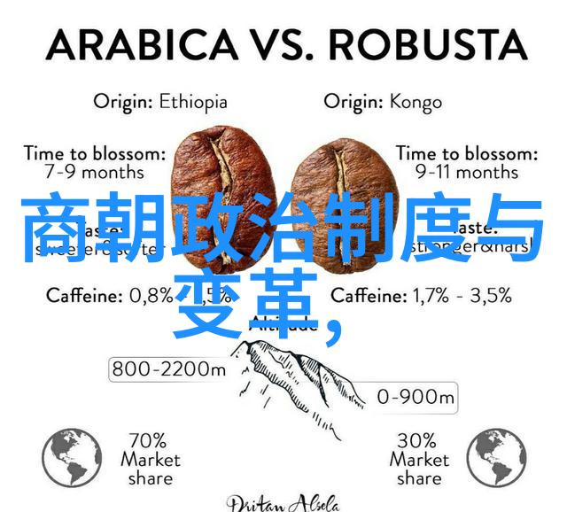 明光与暗影锦衣卫的双面世界