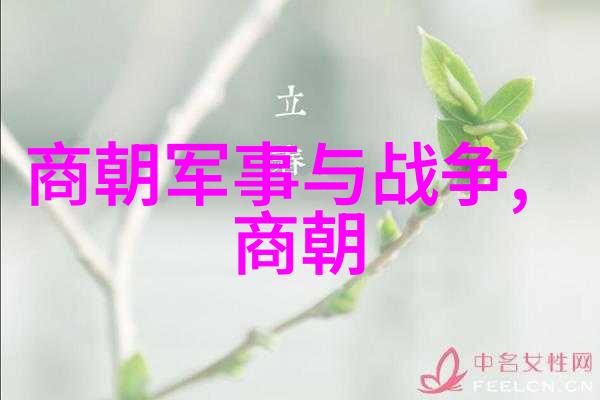 明朝的奇闻趣事龙凤呈祥的帝王与隐世仙子