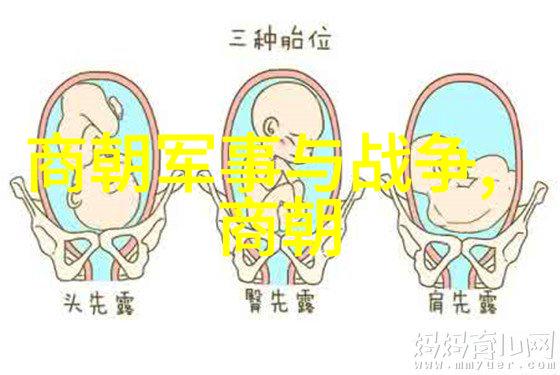 中国历史的长河朝代轮回之谜