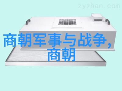 宫廷余晖元朝末日的皇家公主们