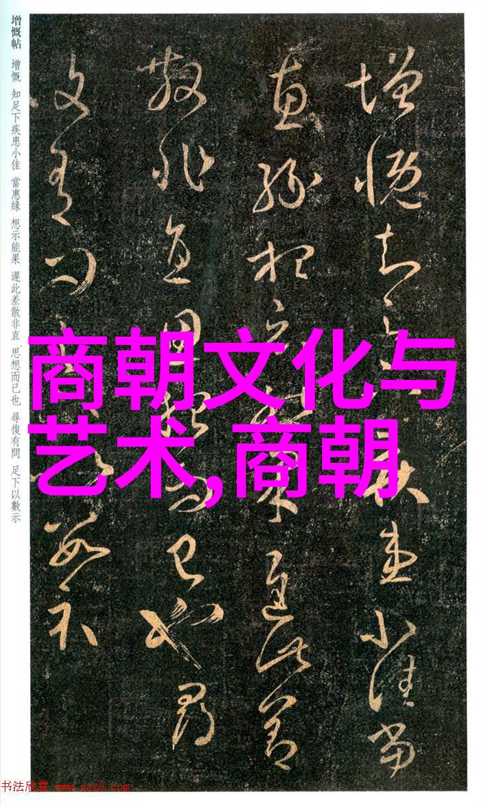 古代中国的金瓶梅之谜揭秘一部神秘文学的诞生与流传