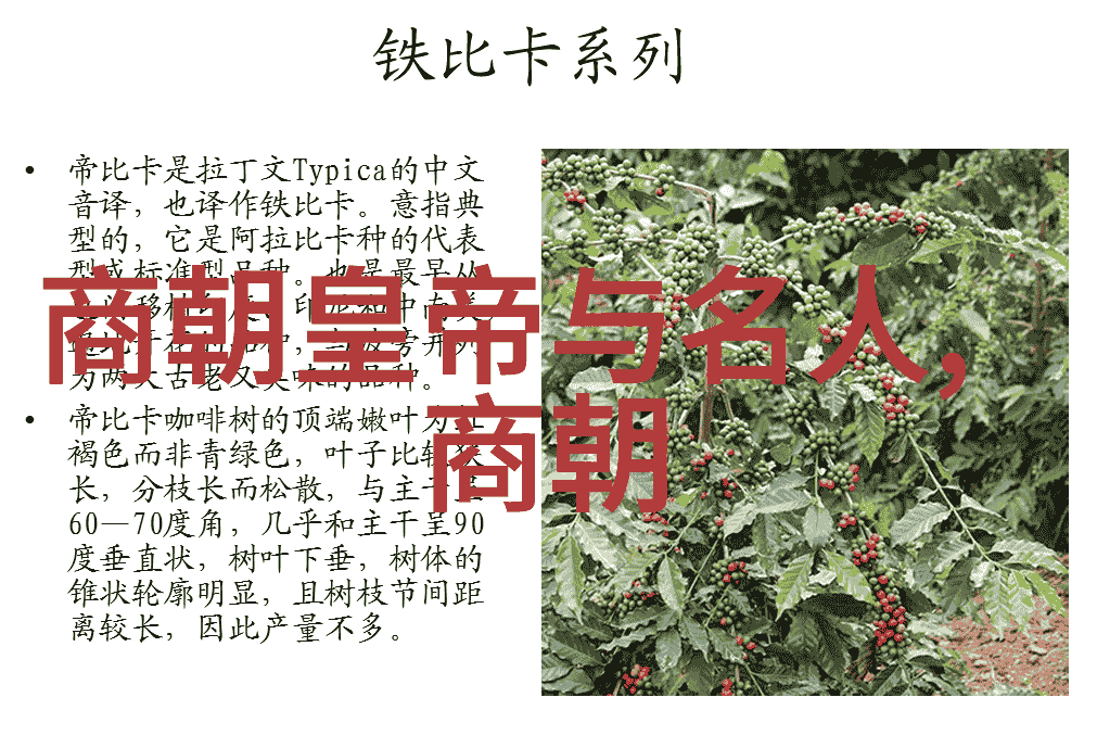 满朝风华清朝帝王序列