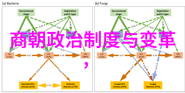 穿越时空揭秘世界历史故事中的巨人与小民