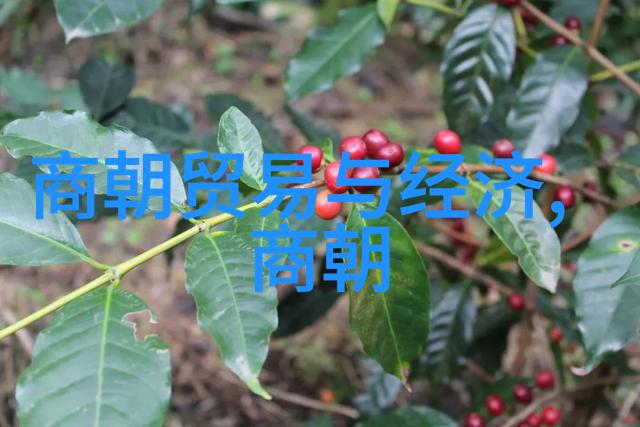 成品W灬源码伊旬园大象2023-探秘新年新奇迹揭秘最新大象模型源代码解析