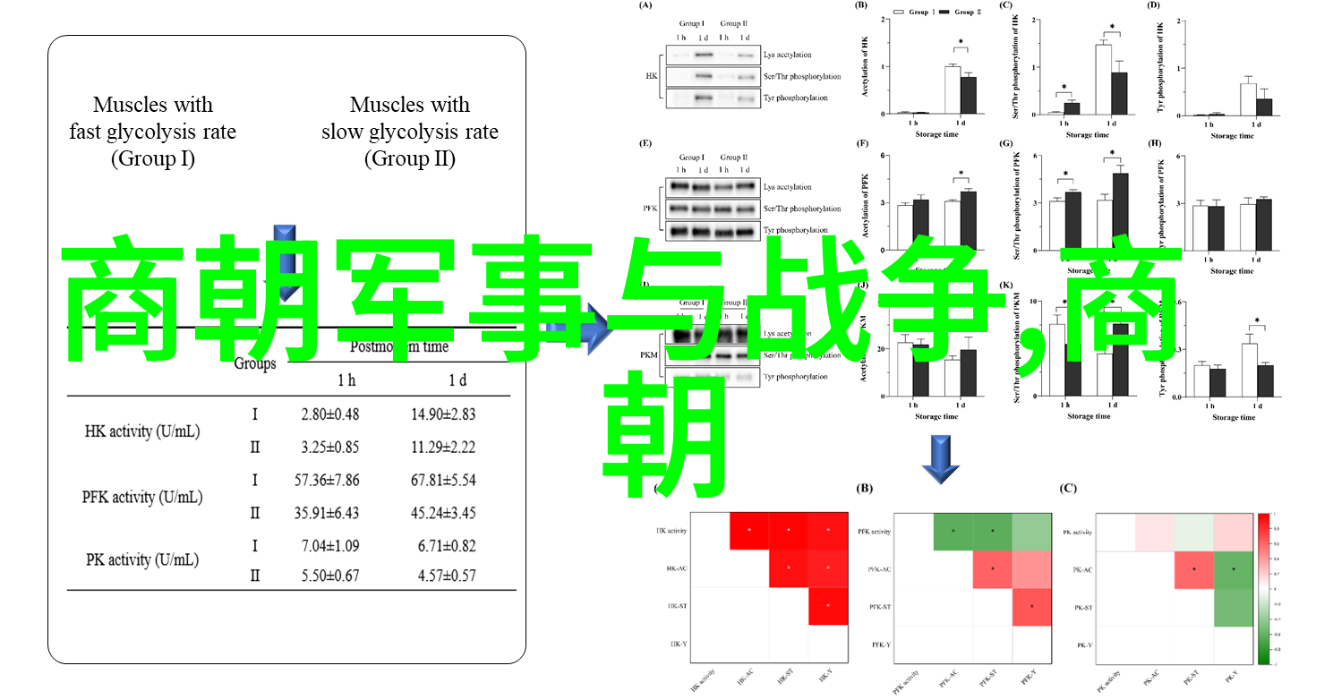 南宋历史简介江山社稷之再立与衰亡