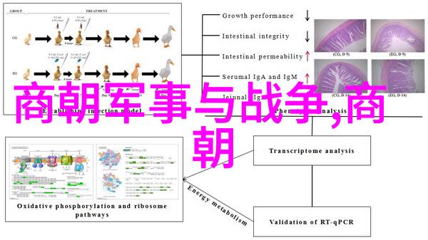 世界上最恐怖的朝代我亲眼见证的末日清朝那些不为人知的黑暗面